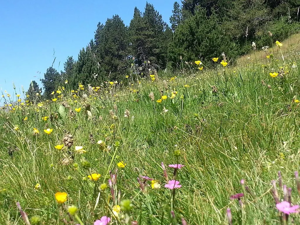 Aparthotel Apartaments Llempo Canillo